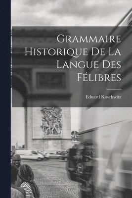 Eduard Koschwitz - Grammaire Historique de la Langue des Félibres, Häftad
