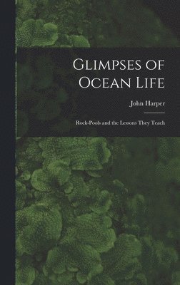 Glimpses of Ocean Life 1