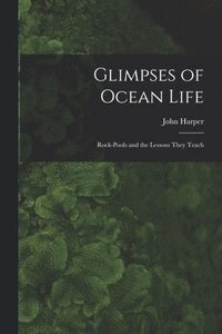 bokomslag Glimpses of Ocean Life