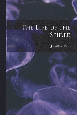 Life of the Spider
