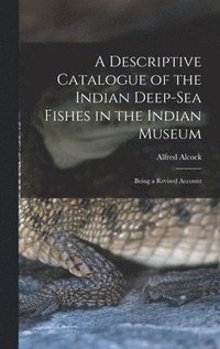 bokomslag A Descriptive Catalogue of the Indian Deep-sea Fishes in the Indian Museum