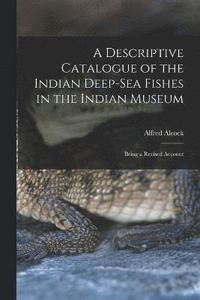 bokomslag A Descriptive Catalogue of the Indian Deep-sea Fishes in the Indian Museum