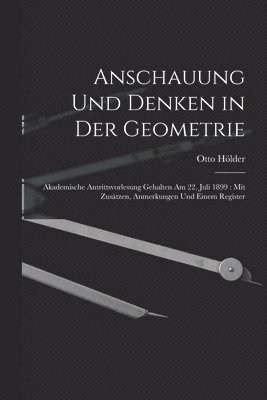 bokomslag Anschauung Und Denken in Der Geometrie