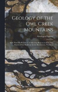 bokomslag Geology of the Owl Creek Mountains