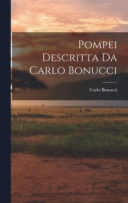 Pompei Descritta Da Carlo Bonucci 1