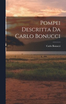 Carlo Bonucci - Pompei Descritta Da Carlo Bonucci, Inbunden