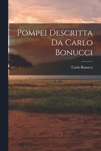 bokomslag Pompei Descritta Da Carlo Bonucci