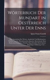 bokomslag Wrterbuch Der Mundart in Oesterreich Unter Der Enns