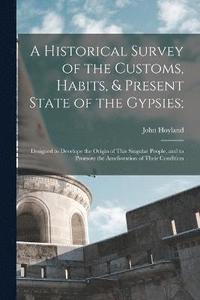 bokomslag A Historical Survey of the Customs, Habits, & Present State of the Gypsies;