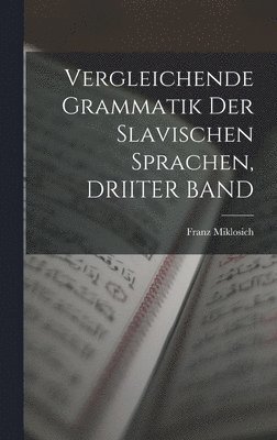 bokomslag Vergleichende Grammatik Der Slavischen Sprachen, DRIITER BAND