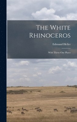White Rhinoceros