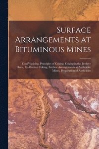 bokomslag Surface Arrangements at Bituminous Mines