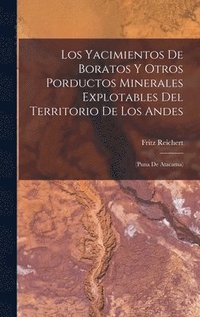 bokomslag Los Yacimientos De Boratos Y Otros Porductos Minerales Explotables Del Territorio De Los Andes