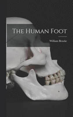 The Human Foot 1