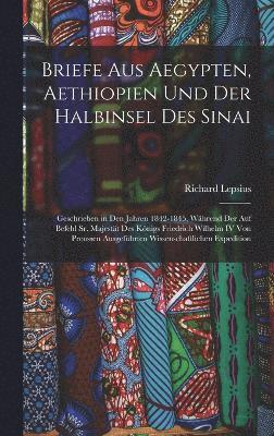 bokomslag Briefe Aus Aegypten, Aethiopien Und Der Halbinsel Des Sinai