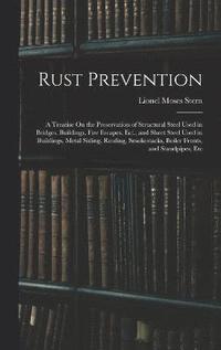 bokomslag Rust Prevention