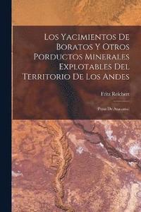 bokomslag Los Yacimientos De Boratos Y Otros Porductos Minerales Explotables Del Territorio De Los Andes