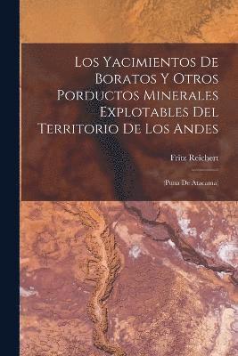 Fritz Reichert - Yacimientos De Boratos Y Otros Porductos Minerales Explotables Del Territorio De Los Andes, Häftad