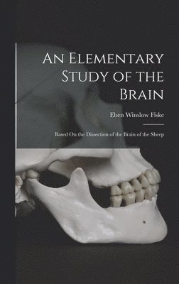 An Elementary Study of the Brain 1