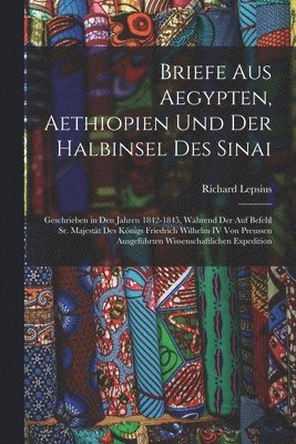 bokomslag Briefe Aus Aegypten, Aethiopien Und Der Halbinsel Des Sinai