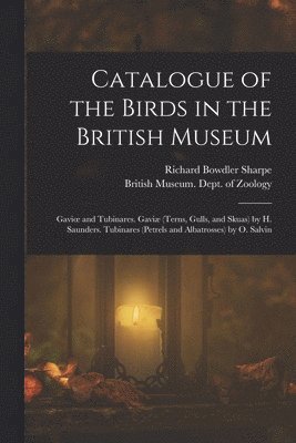 bokomslag Catalogue of the Birds in the British Museum