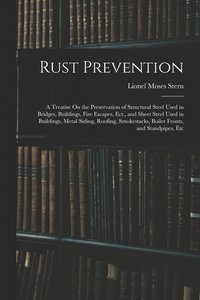 bokomslag Rust Prevention