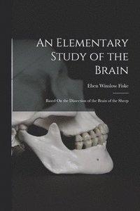 bokomslag An Elementary Study of the Brain