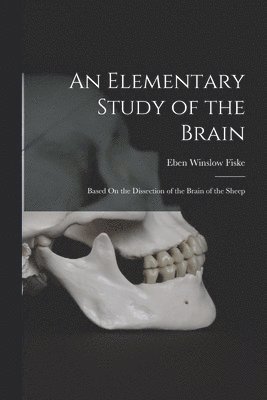 bokomslag Elementary Study of the Brain