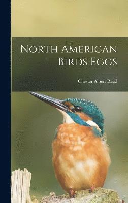 North American Birds Eggs 1