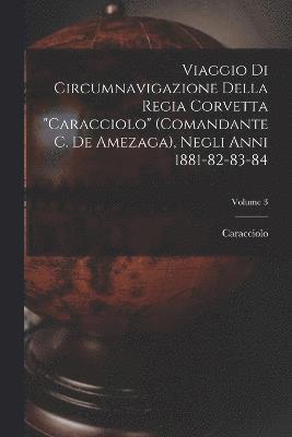 bokomslag Viaggio Di Circumnavigazione Della Regia Corvetta &quot;Caracciolo&quot; (Comandante C. De Amezaga), Negli Anni 1881-82-83-84; Volume 3
