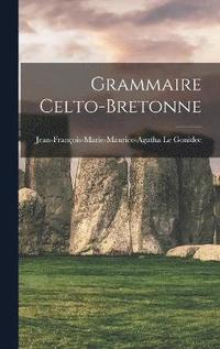 bokomslag Grammaire Celto-Bretonne