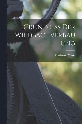 Grundriss Der Wildbachverbauung 1