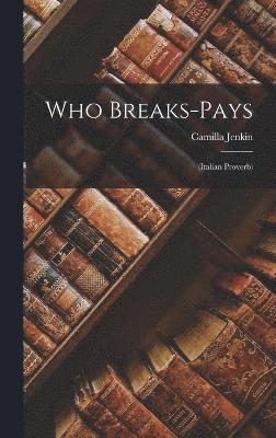 bokomslag Who Breaks-Pays