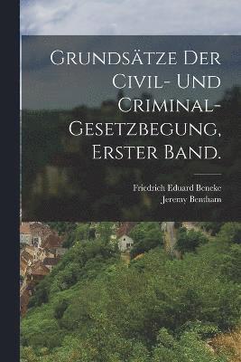 bokomslag Grundsätze der Civil- und Criminal-Gesetzbegung, Erster Band.