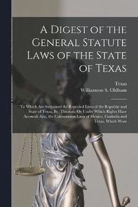 bokomslag A Digest of the General Statute Laws of the State of Texas