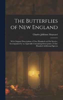 bokomslag The Butterflies of New England