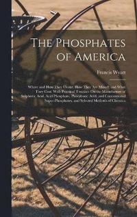 bokomslag The Phosphates of America