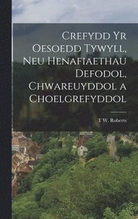 bokomslag Crefydd Yr Oesoedd Tywyll, Neu Henafiaethau Defodol, Chwareuyddol a Choelgrefyddol