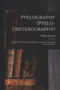 bokomslag Pyelography (Pyelo-Ureterography)