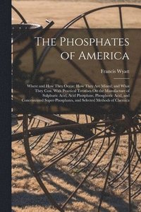bokomslag The Phosphates of America
