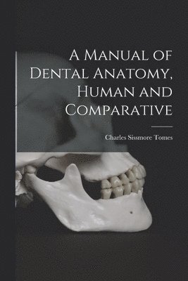 Charles Sissmore Tomes - Manual of Dental Anatomy, Human and Comparative, Häftad