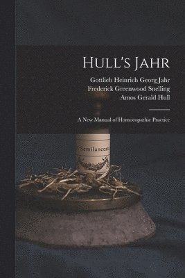 bokomslag Hull's Jahr