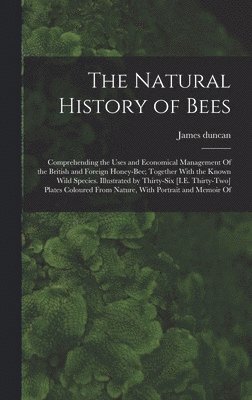 The Natural History of Bees 1