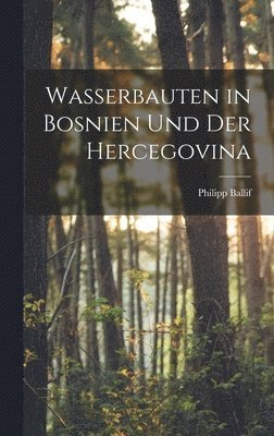 bokomslag Wasserbauten in Bosnien Und Der Hercegovina