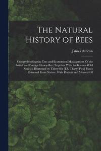bokomslag The Natural History of Bees
