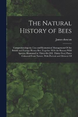 The Natural History of Bees 1