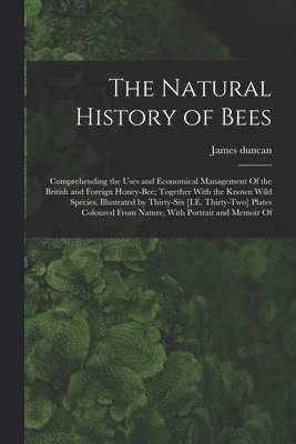 Natural History of Bees