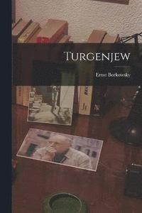 bokomslag Turgenjew