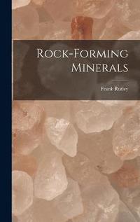 bokomslag Rock-Forming Minerals