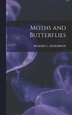 Moths and Butterflies 1